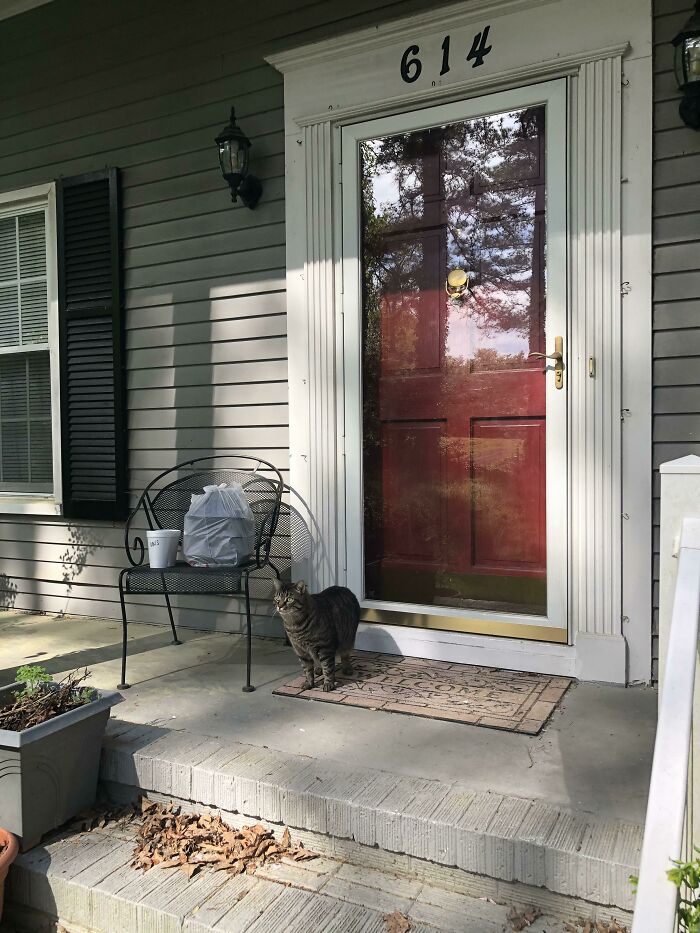 The Homeowner Ran Out To My Car And Escorted Me Up To The Front Door Before Guarding The Food