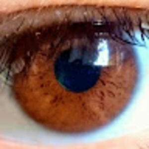 alejandrolazarte avatar