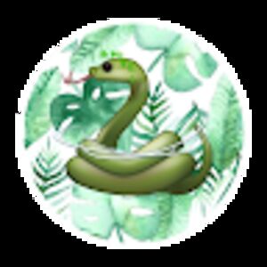 savannahmullin avatar