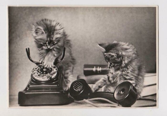 Soviet Postcard, 1956