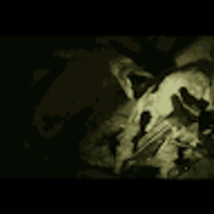 nicholasmoran avatar