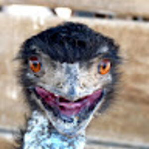 nataliekelsey_1 avatar