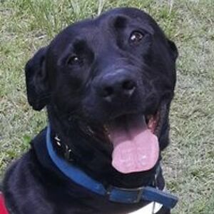 19brokenarrow62 avatar