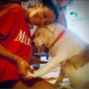 shelley_copeland68 avatar