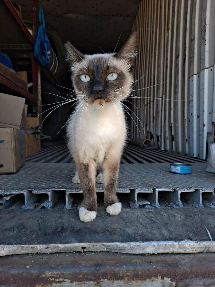 She’s Come Such A Long Way And Grown Up So Much Since I Adopted Her!