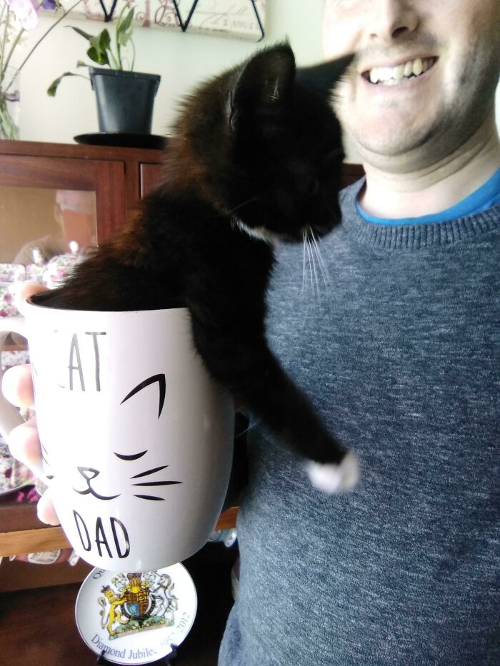 Hubby & New Rescue Kitten