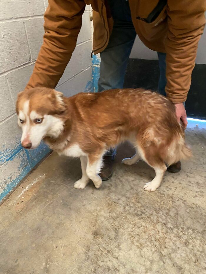 Just Adopted This Sweet Girl Yesterday