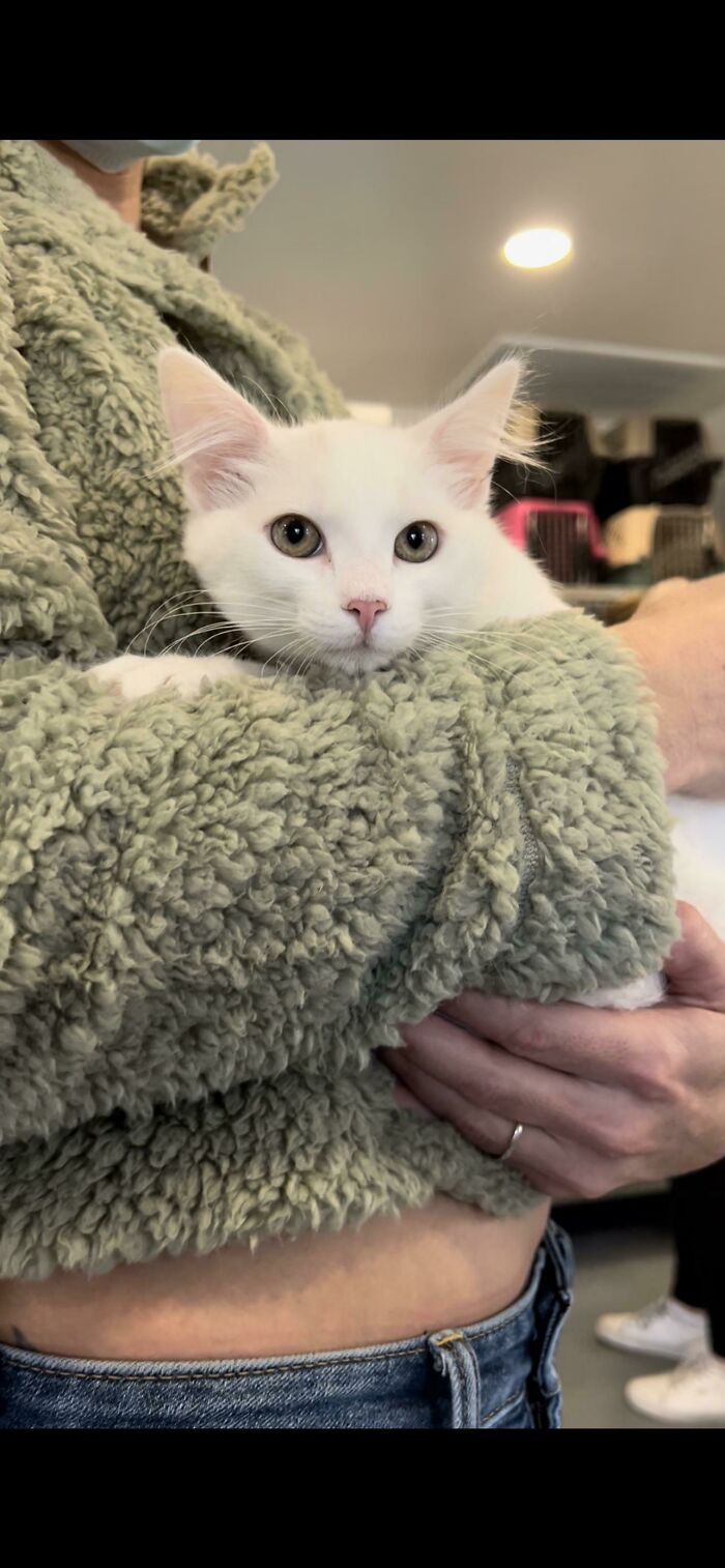 Adopted Today, Help Me Name Him?