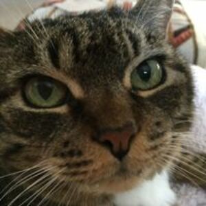 kris_peterson avatar