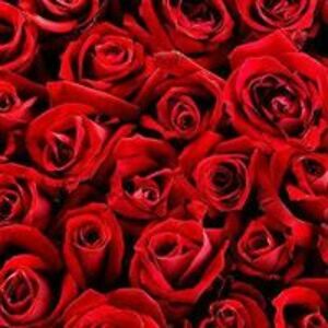 write2rizwana avatar