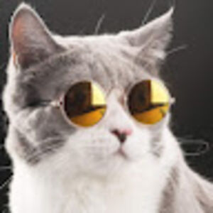 jemappelleshin-chan avatar