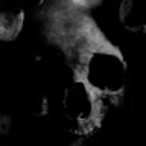 ashleyst-jean avatar