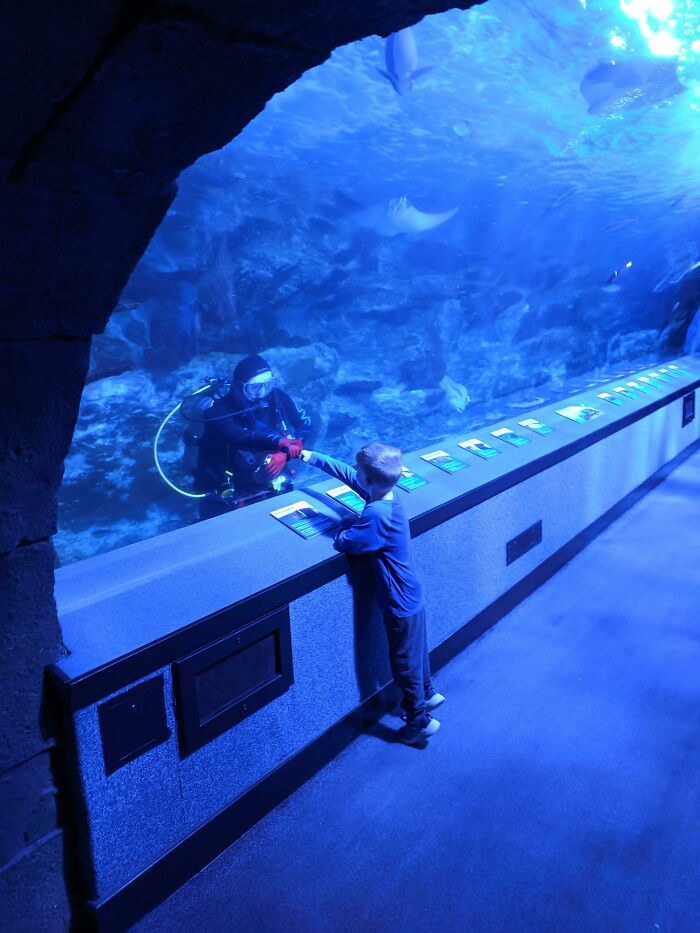 Getting Fist Bumps From The Scuba Diver Cleaning The Tank