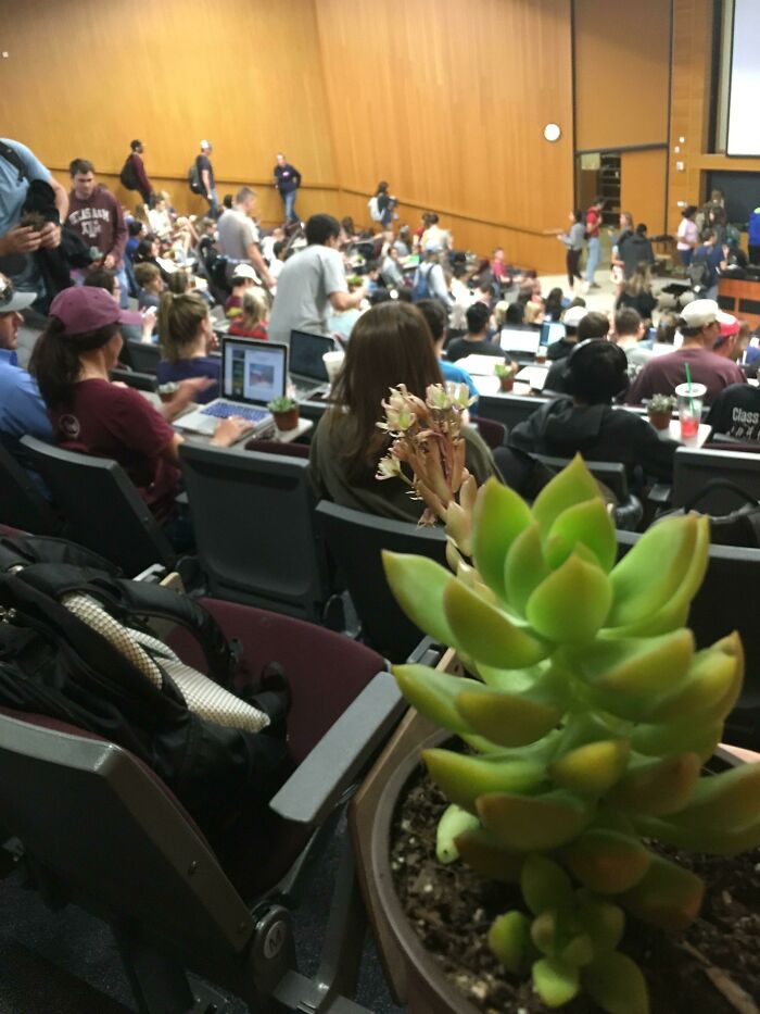 My Sociohorticulture Professor Gives Every Student A Plant Almost Every Week