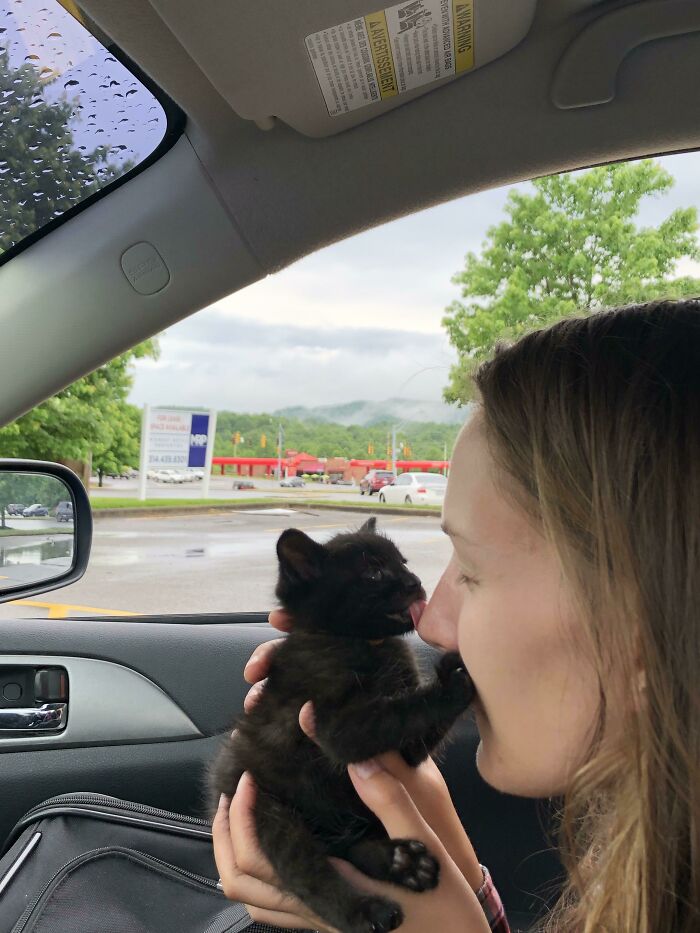 Smol Criminal Assaulting Arresting Officer