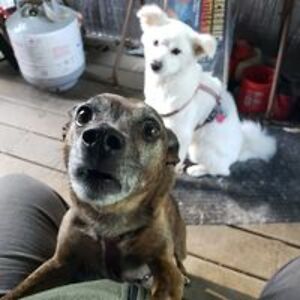 chrissyoung_1 avatar