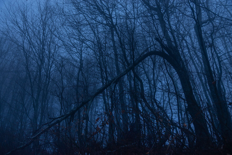 I Felt The Erebus On The Centaur΄s Mountain Pelion (10 Pics)