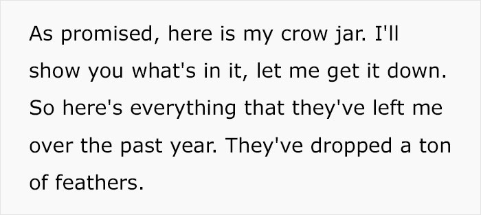 This Woman Befriended The Crows And Now Receives The Most Random Gifts As A Token Of Appreciation