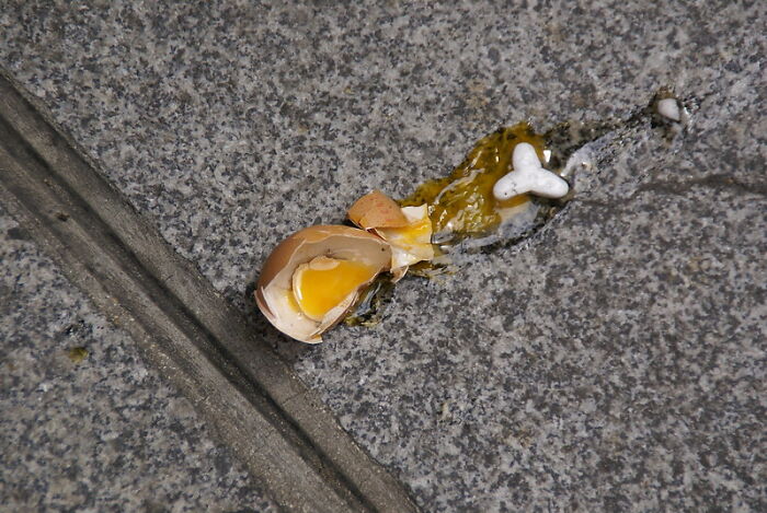 30 Crazy Yet Hilarious “I Looked Away For One Second” Stories Shared By Parents Online