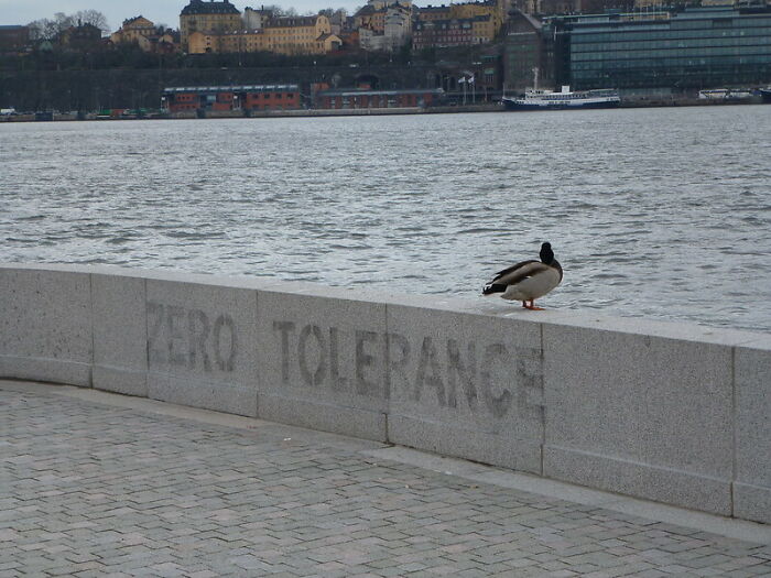 35 Unethical Practices That Are Surprisingly A Thing In Some Schools, As Pointed Out By Folks Online