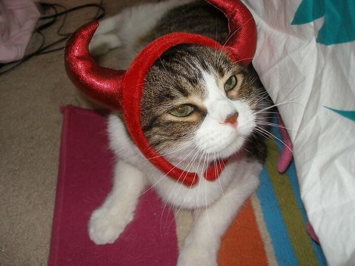 35 Cosas que arruinan inmediatamente una película, señaladas en este grupo online