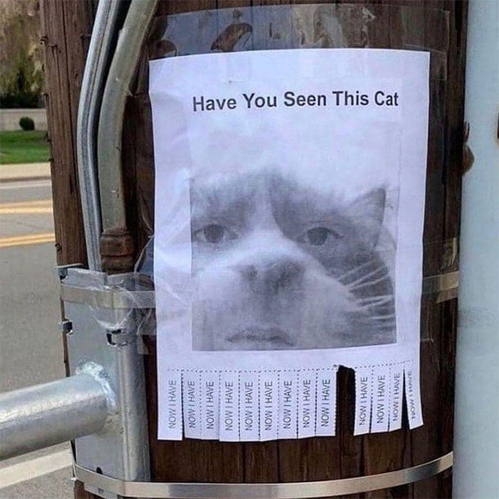 Weird-Ads-With-Threatening-Auras