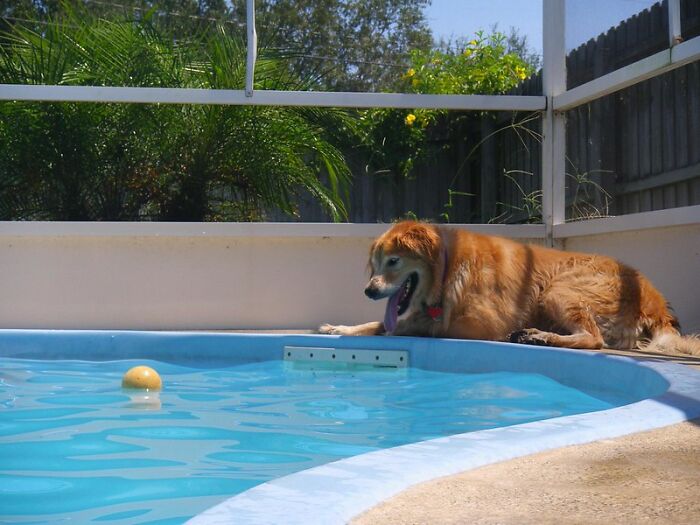 25 Historias sobre cosas terribles que hacen algunos huéspedes