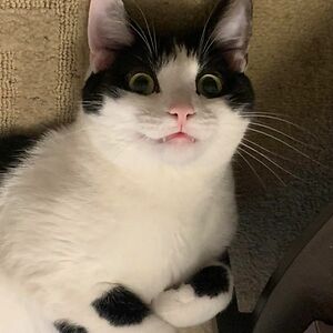 martina.vesela.503 avatar