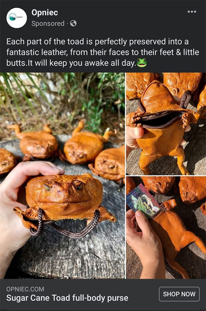 Weird-Ads-With-Threatening-Auras