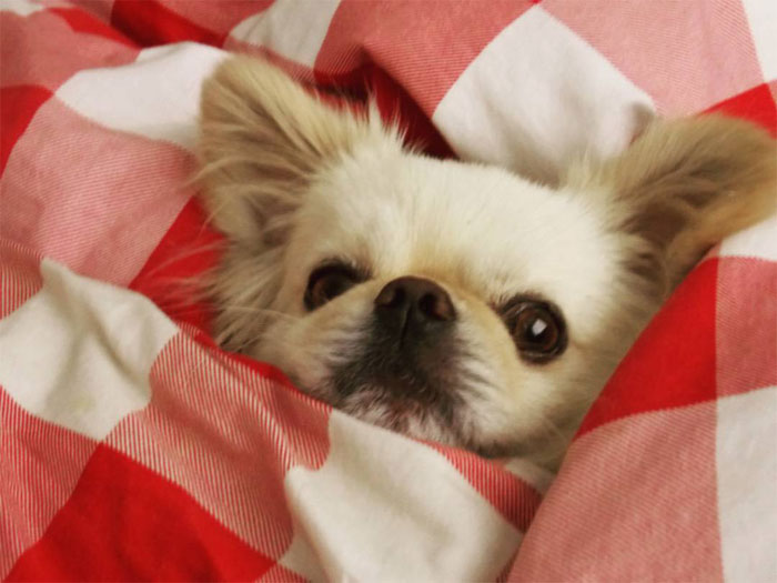 30 Of The Worst Experiences With A ‘Karen’ Managers Have Ever Had That They Shared In This Online Group