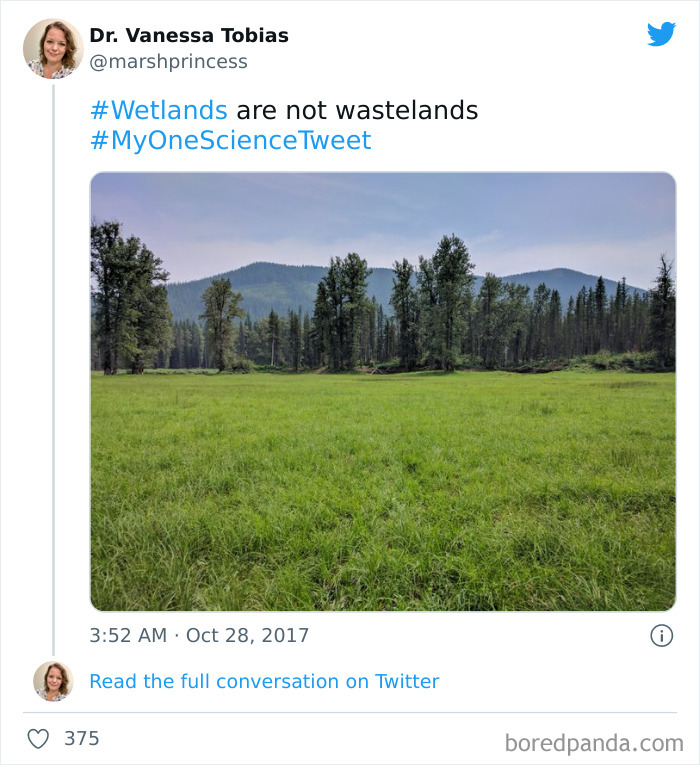 Interesting-Facts-My-One-Science-Tweet