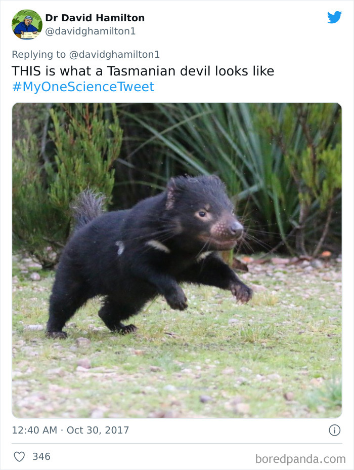 Interesting-Facts-My-One-Science-Tweet