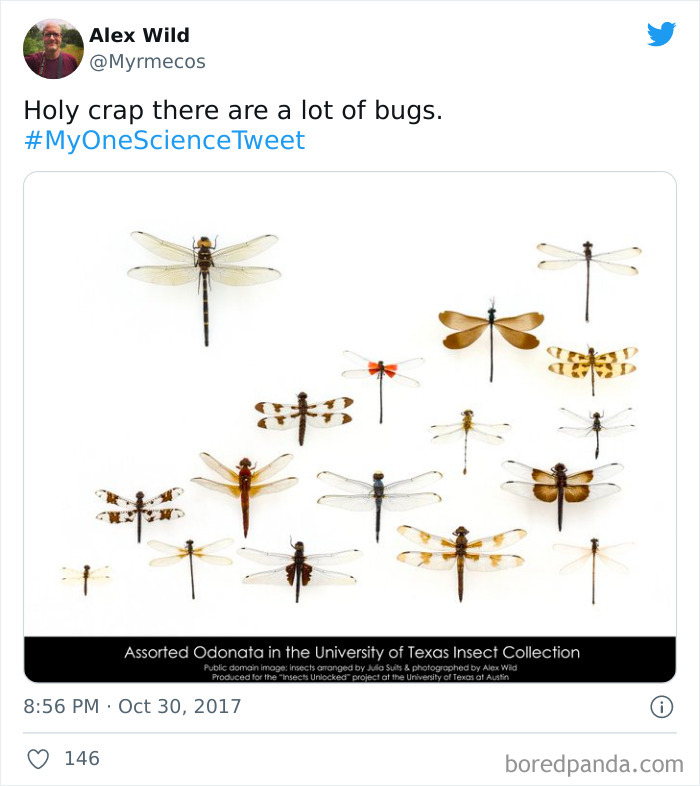 Interesting-Facts-My-One-Science-Tweet