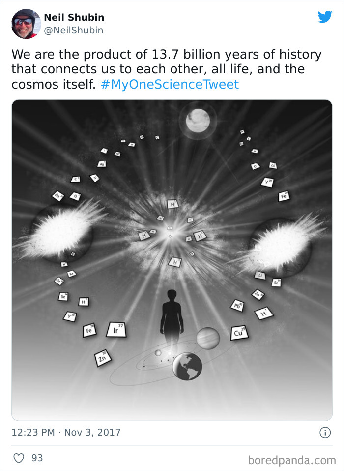 Interesting-Facts-My-One-Science-Tweet