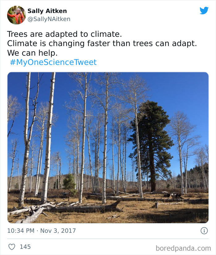 Interesting-Facts-My-One-Science-Tweet