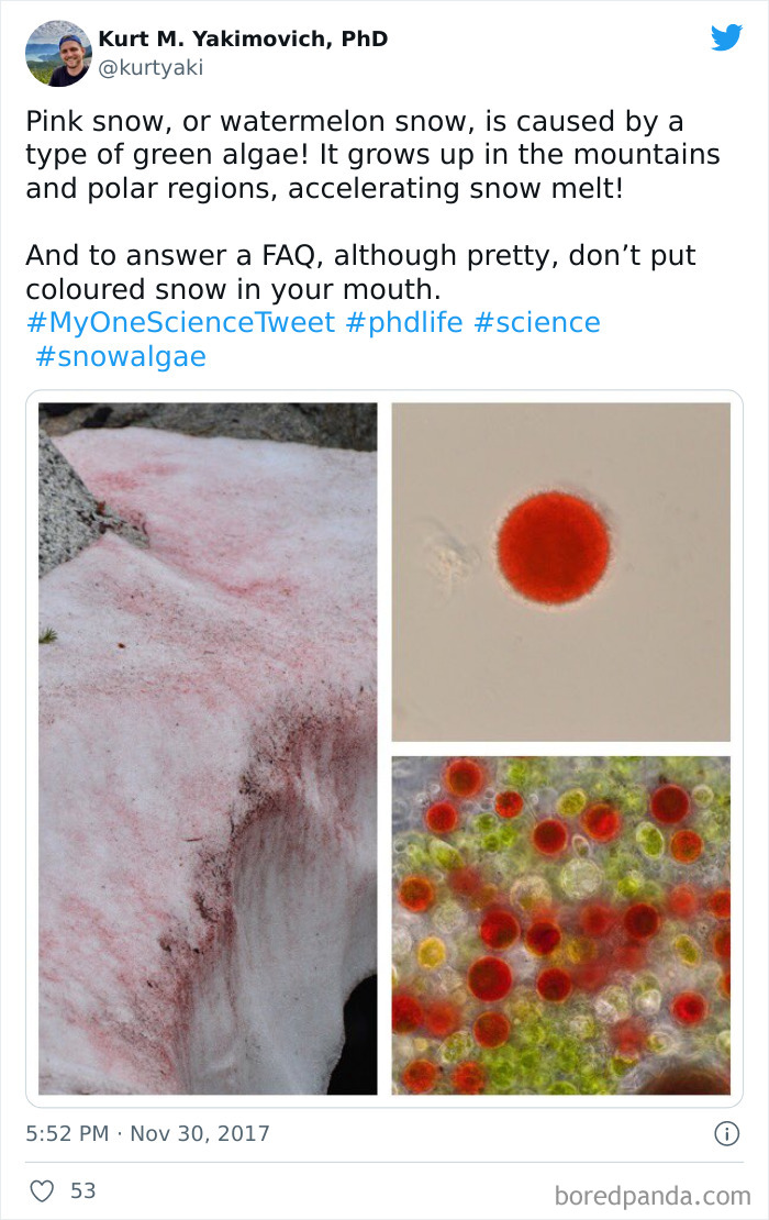 Interesting-Facts-My-One-Science-Tweet