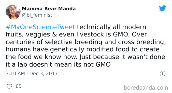 Interesting-Facts-My-One-Science-Tweet