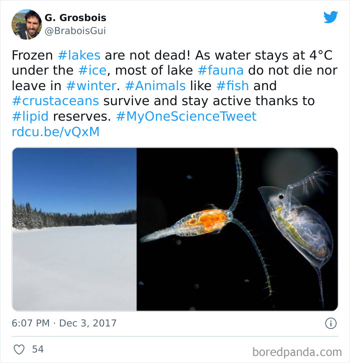 Interesting-Facts-My-One-Science-Tweet