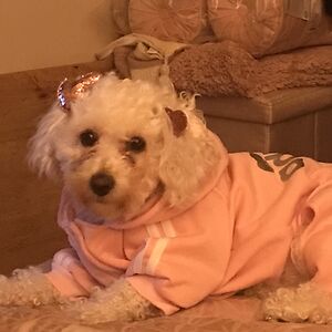 samanthacomerford avatar