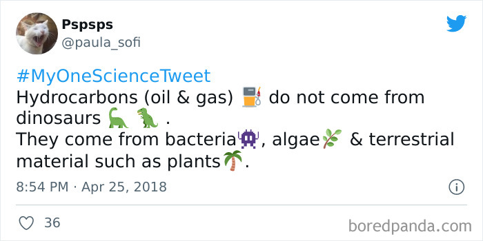 Interesting-Facts-My-One-Science-Tweet