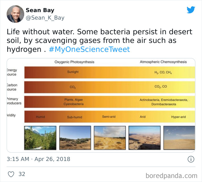 Interesting-Facts-My-One-Science-Tweet