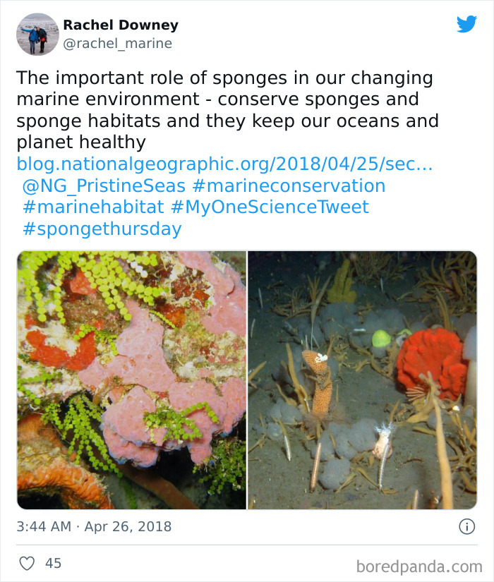 Interesting-Facts-My-One-Science-Tweet