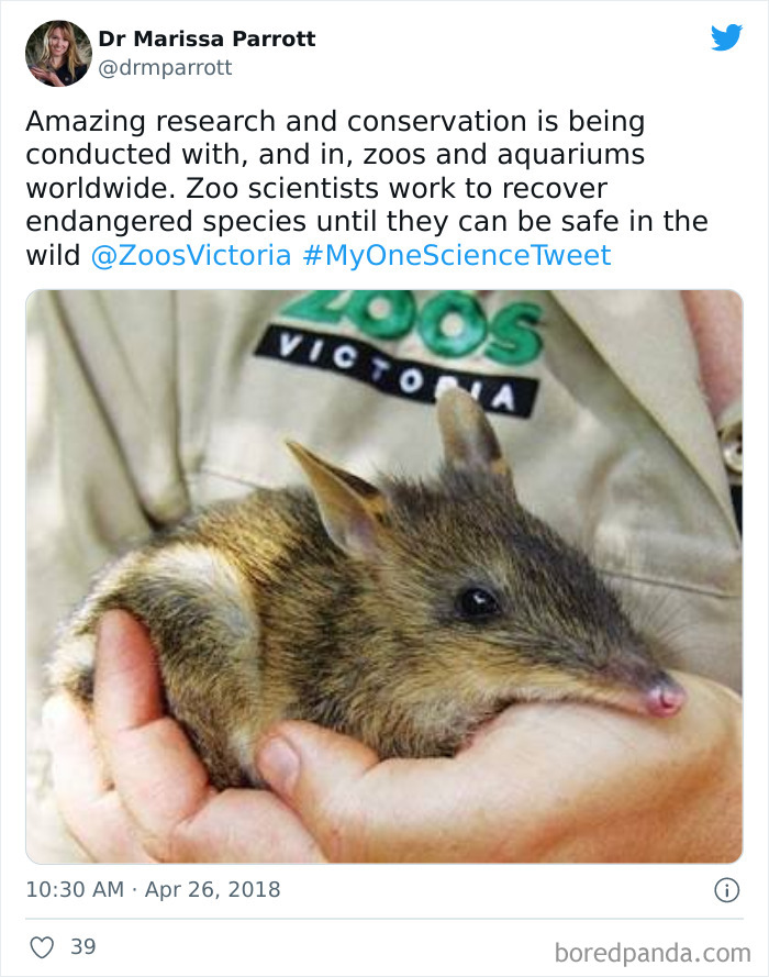 Interesting-Facts-My-One-Science-Tweet