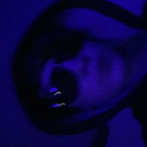 hoodiegaming428 avatar