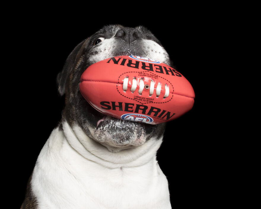 Dozer And The Red Ball