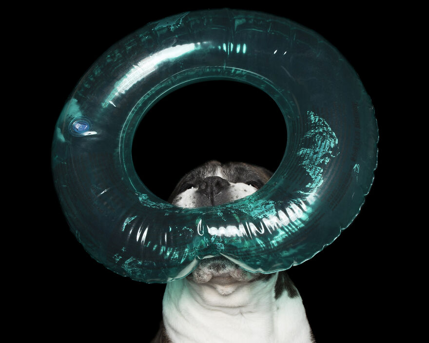 Dozer And The Round Inflatable