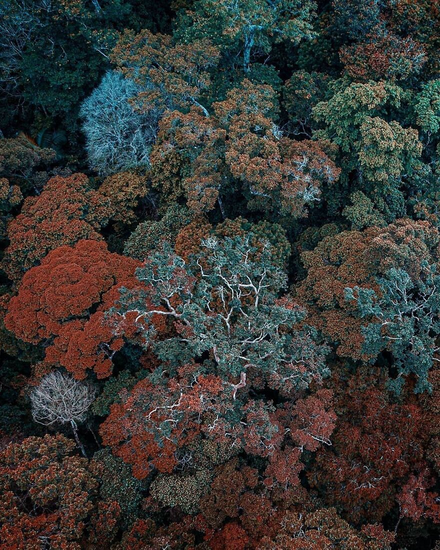 Amazing Photographs Seen From Above By Dimitar Karanikolov