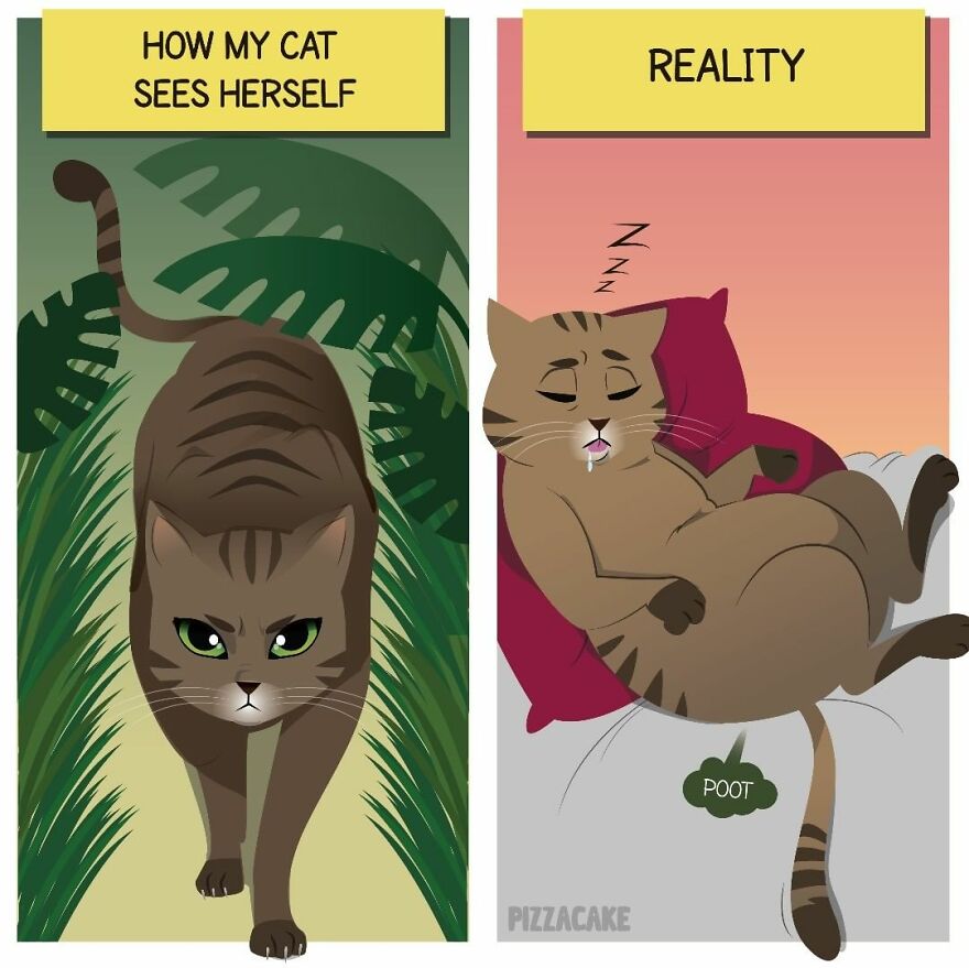 Artist Illustrates In A Fun Way Everyday Life With Her Family And An Adorable Adopted Cat