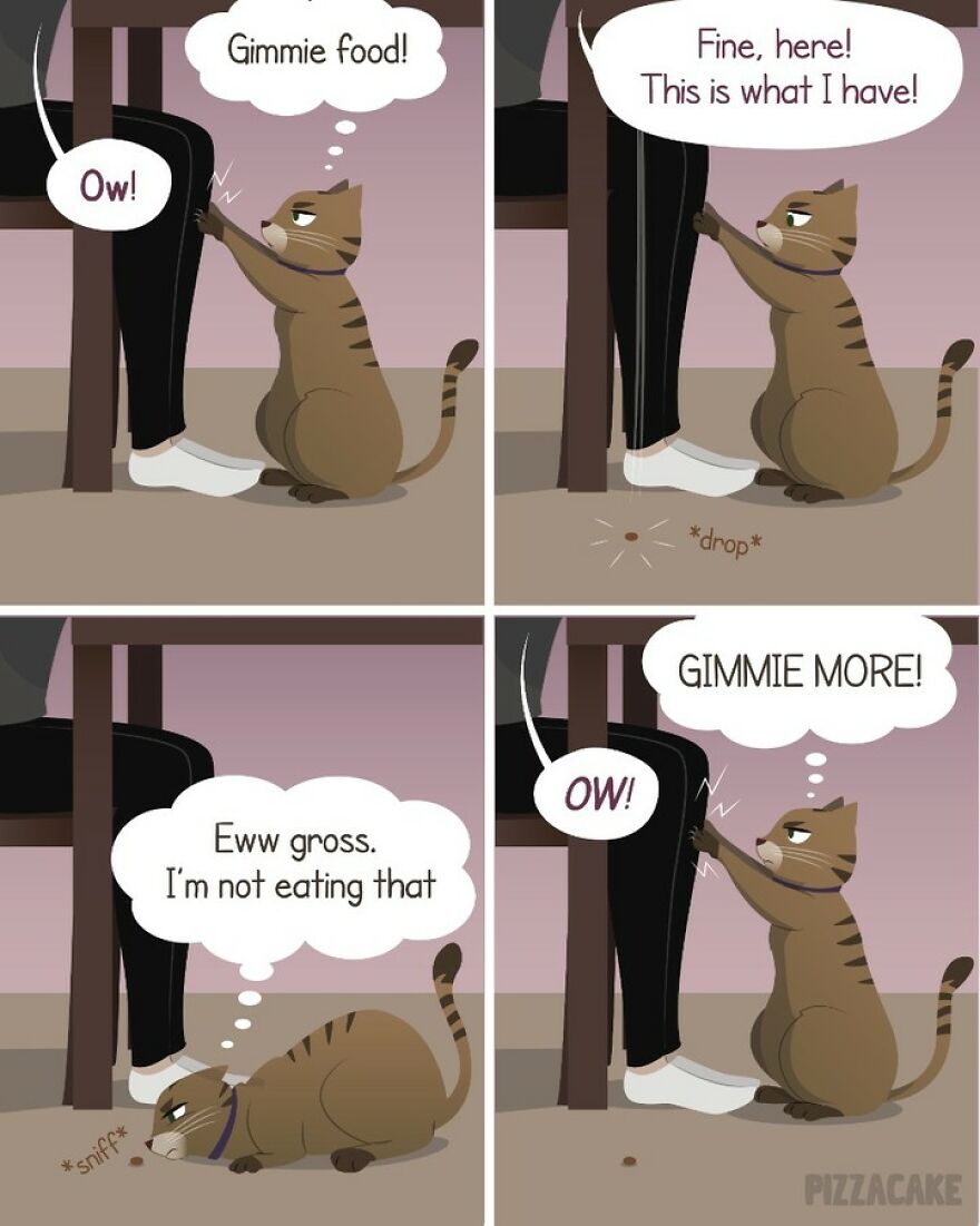 Artist Illustrates In A Fun Way Everyday Life With Her Family And An Adorable Adopted Cat