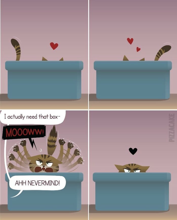 Comic panels showing family life with a feisty cat playing in and fighting over a blue box with hearts above.